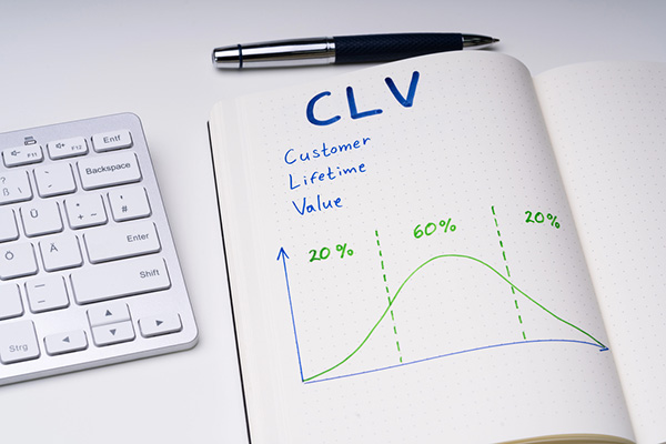 Marketing Lifetime Value of a Pest Control Customer - Keep Customers Longer with Proper Marketing